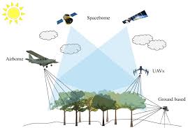 Remote Sensing for Forestry and Vegetation Management Training Course