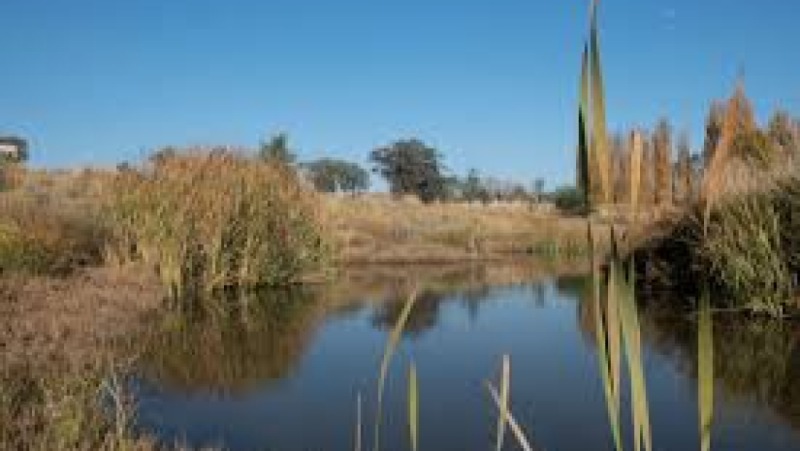 Restoring and Managing Riparian Zones Training Course