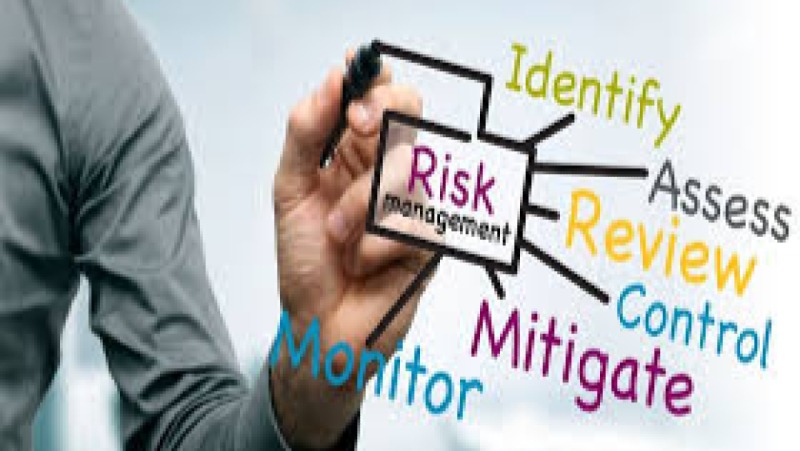 Risk Management for ERP Projects Training Course