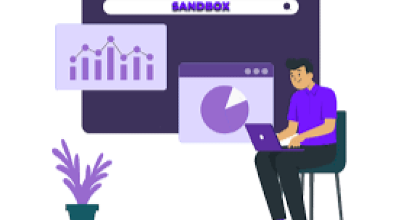 Sandboxes and Training Systems for ERP Training Course