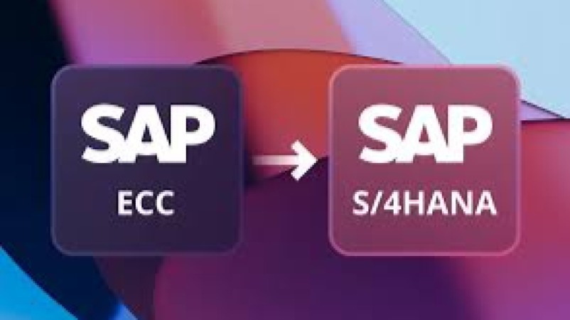 SAP S/4HANA Transition and Migration Training Course