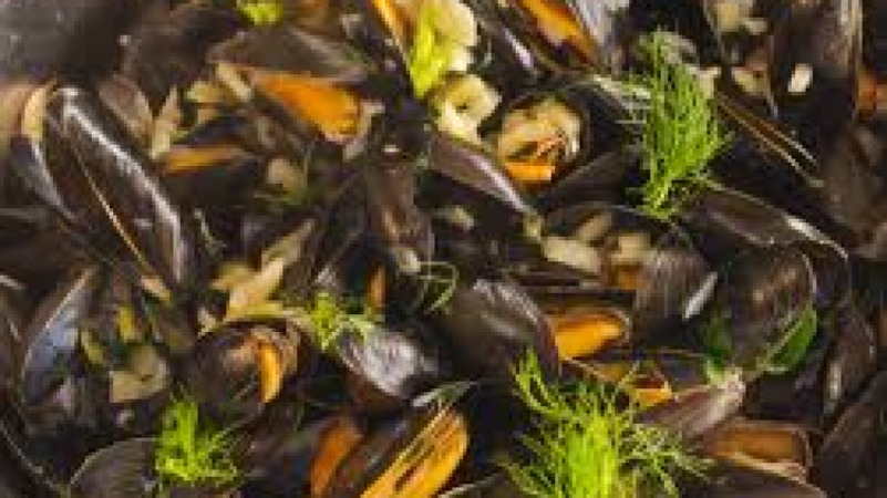 Shellfish Production Systems Training Course