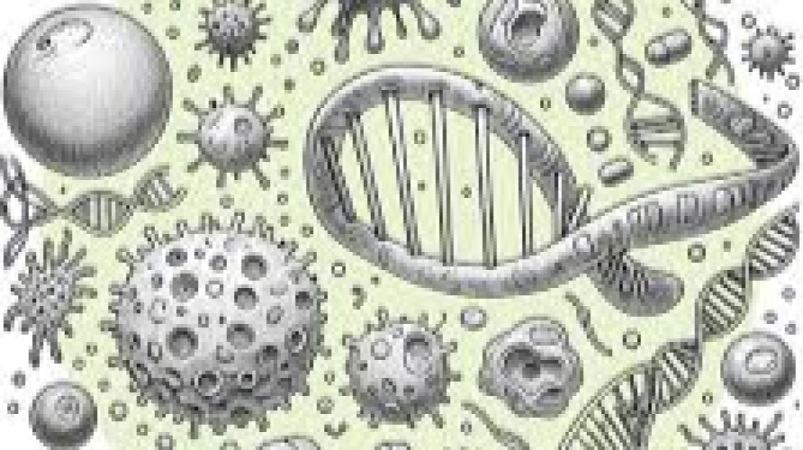 Single-Cell Genomics Data Processing Training Course