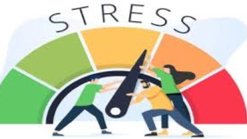 Stress Testing for Enterprise Risk Managers Training Course