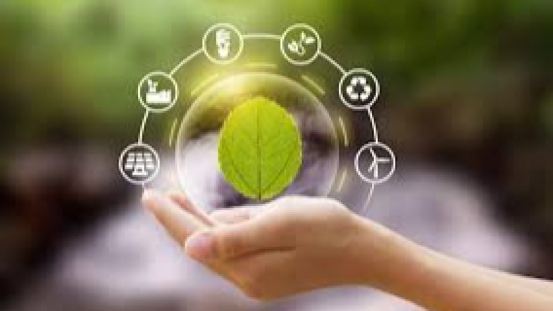 Sustainability Governance Simulation Labs Training Course