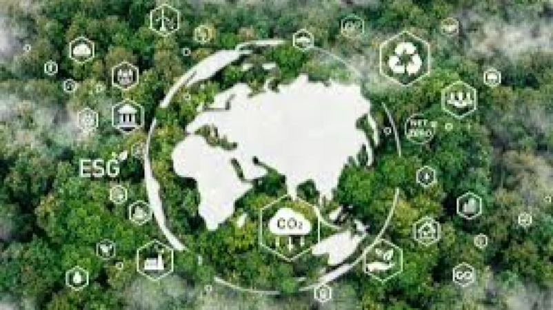 Sustainability Reporting & Tax Disclosures Training Course