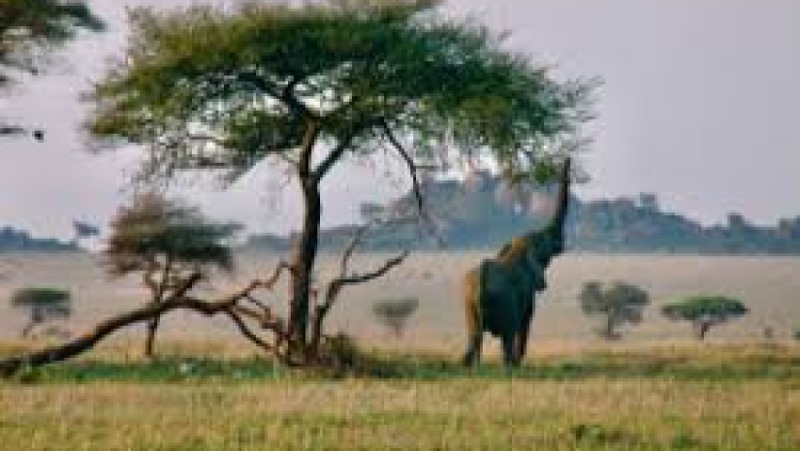 Sustainable Livelihoods and Wildlife Conservation Training Course