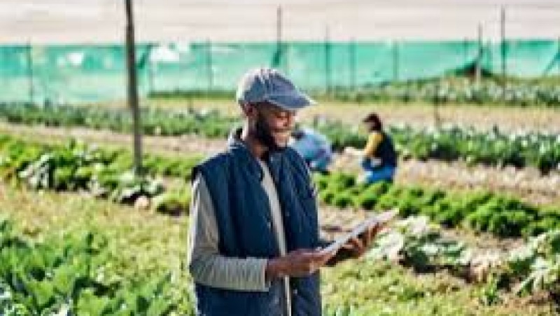 Sustainable Livelihoods Framework Training Course