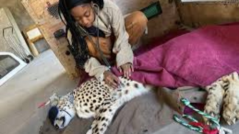 The Biology and Conservation of Large Carnivores Training Course