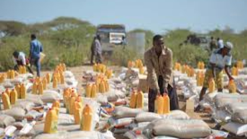 The Politics of Food Aid and Humanitarianism Training Course