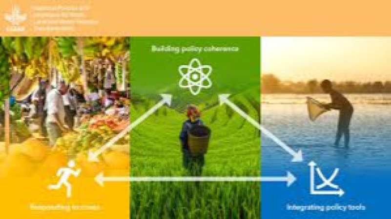 The Politics of Food and Water Security Training Course