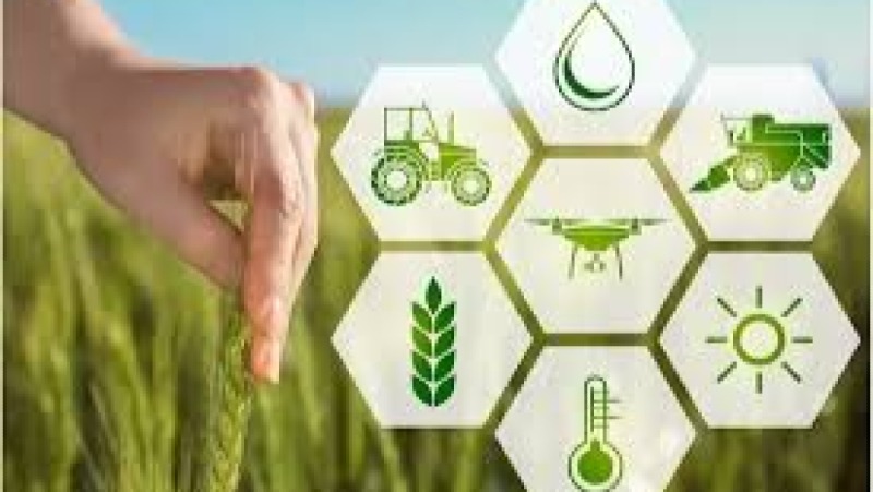 The Politics of Food Security and Global Supply Chains Training Course