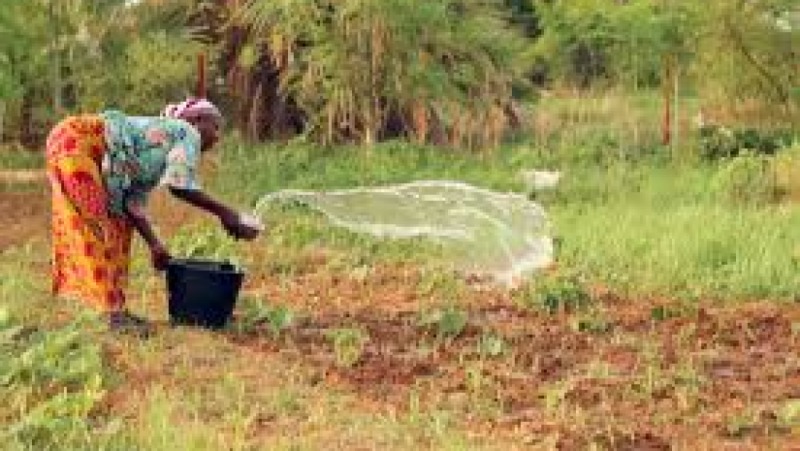 The Politics of Global Climate Negotiations Training Course