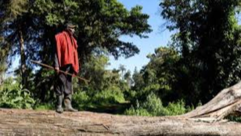 The Politics of Land and Natural Resources Training Course