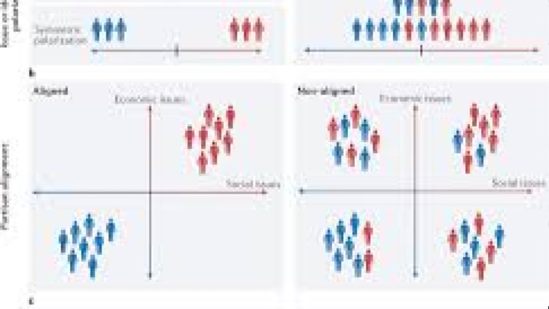 The Role of Algorithms in Political Polarization Training Course