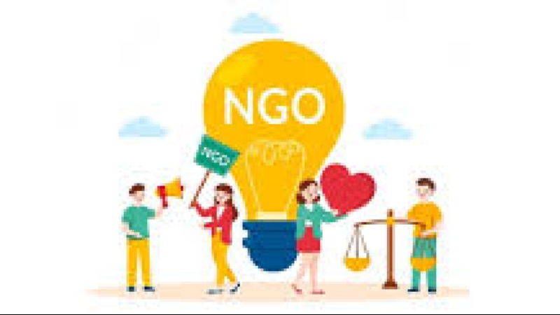 The Role of International NGOs in Global Politics Training Course