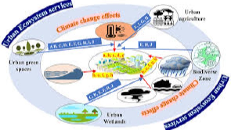 The Social Dimensions of Environmental Change Training Course