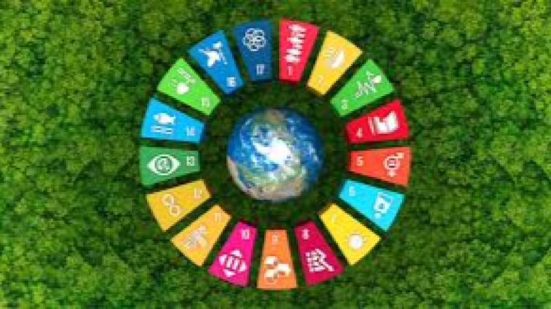 The UN Sustainable Development Goal (SDG) Budgeting Training Course