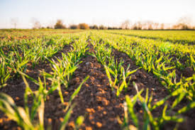 Training Course on Advanced Crop Nutrition and Soil Fertility Management