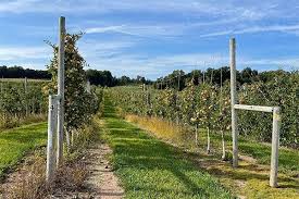 Training Course on Advanced Weed Science and Herbicide Resistance Management