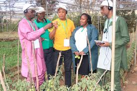 Training Course on Agri-Genomics and Molecular Diagnostics in Agriculture