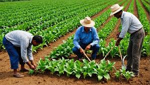 Advanced Agricultural Cooperative Management Training Course