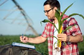 Agricultural Insurance and Crop Risk Management Training Course 