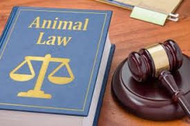 Training course on Animal Law and Welfare