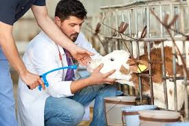 Training Course on Animal Welfare and Ethical Livestock Production Standards