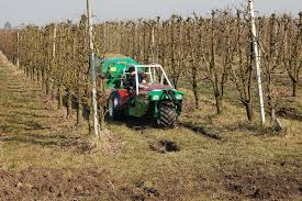 Training Course on Bioenergy and Biofuel Production from Agricultural Residues