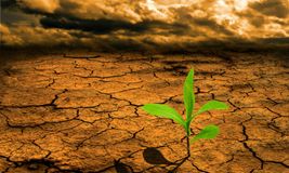 Training Course on Climate Change and Agriculture