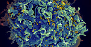 Training course  on Climate Change and Infectious Disease Emergence