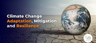 Training Course on Climate Change: Economics and Governance