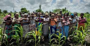  Climate Change Risk and Insurance Training Course