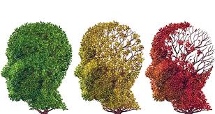 Training Course on Cognitive Decline and Financial Vulnerability in Retirement