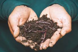 Training Course on Composting and Vermiculture for Farm Waste Management
