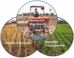 Training Course on Conservation Agriculture: No-Till, Cover Cropping and Diversification