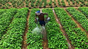 Training Course on Contract Farming: Legal, Economic, and Operational Aspects