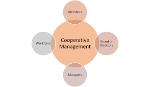 Cooperative Federations and Apex Organizations Management Training Course