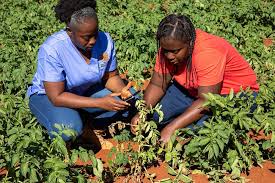 Training Course on Crop Residue Management and Biochar Application