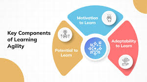 Training Course on Cultivating Learning Agility in the Workplace