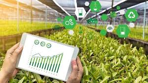 Training Course on Data Visualization and Business Intelligence for Agri-Analytics