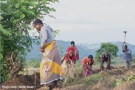 Training course on Designing Public Works Programs for Social Protection