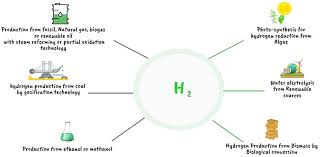 Training Course on Developing Clean Energy and Hydrogen Economy from Sustainable Ammonia Production
