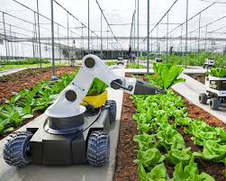 Training Course on Digital Storytelling and Communication for Agricultural Innovations