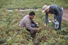 Training Course on Digital Tools for Water Accounting in Agriculture