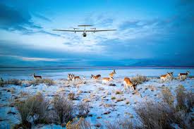 Training Course on Drone Use in Wildlife Monitoring and Conservation
