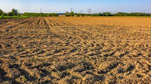 Training Course on Drought Resilience and Water Conservation for Dryland Farming