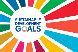 Training Course on Educational Leadership for Sustainable Development Goals (SDGs)