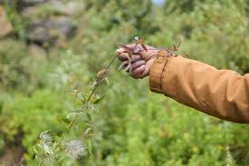 Training Course on Engaging Indigenous Communities in Education
